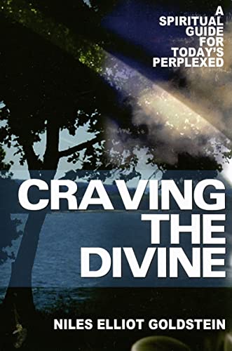 Beispielbild fr Craving the Divine: A Spiritual Guide for Today's Perplexed zum Verkauf von Ergodebooks