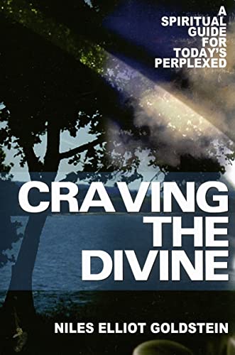 Stock image for Craving the Divine: A Spiritual Guide for Today's Perplexed for sale by Ergodebooks