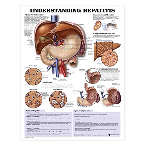 Anatomical Chart Company Lippincott Williams Wilkins