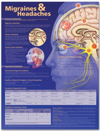 Migraines and Headaches Anatomical Chart (9781587794872) by Anatomical Chart Company