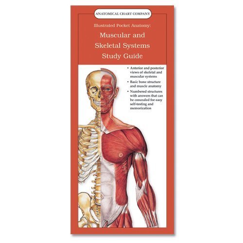 9781587795541: Study Guide (Anatomical Chart Company's Illustrated Pocket Anatomy)