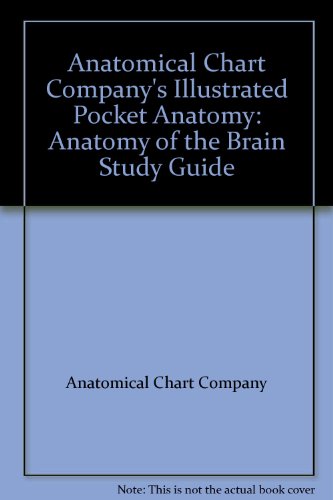 9781587795794: Pocket Anatomy of the Brain