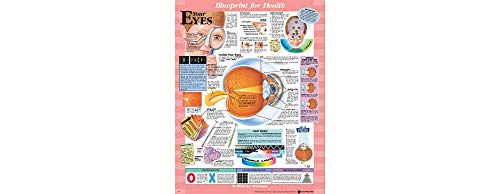 Blueprint for Health Your Eyes Chart (9781587797484) by Anatomical Chart Company