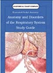 Stock image for Anatomical Chart Company's Illustrated Pocket Anatomy: Anatomy and Disorders of the Respiratory System Study Guide for sale by Ergodebooks