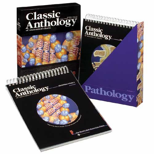 Classic Anthology of Anatomical Charts (9781587798955) by Anatomical Chart Company