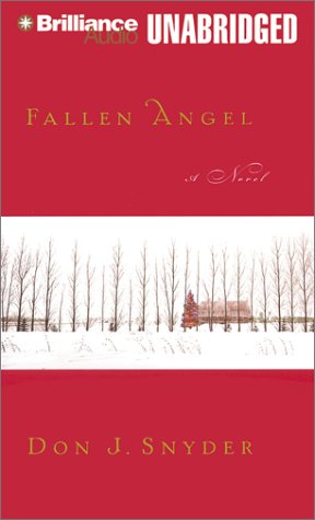 Imagen de archivo de Fallen Angel a la venta por The Yard Sale Store