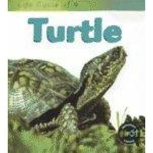 9781588100962: Life Cycle of a Turtle (Heinemann First Library)