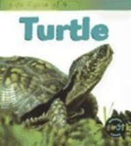 Life Cycle of a Turtle (Heinemann First Library) (9781588100962) by Fridell, Ron; Walsh, Patricia