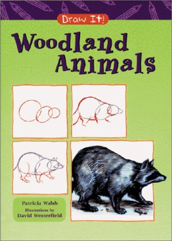 Woodland Animals (Draw It) (9781588102966) by Walsh, Patricia