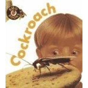Imagen de archivo de Cockroach (Bug Books) a la venta por Bookmonger.Ltd