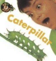 Beispielbild fr Caterpillar (Bug Books) zum Verkauf von HPB-Red