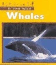 Stock image for Whales (In the Wild) for sale by Half Price Books Inc.