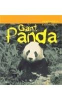 Giant Panda (Animals in Danger) (9781588103321) by Theodorou, Rod