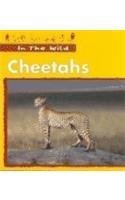 Imagen de archivo de Cheetahs a la venta por Better World Books