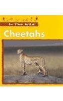 9781588103796: Cheetahs (In the Wild)