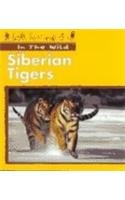 Stock image for Siberian Tigers for sale by ThriftBooks-Atlanta