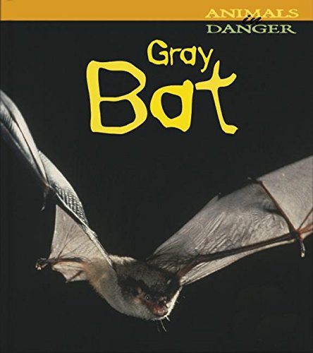 Stock image for Gray Bat for sale by ThriftBooks-Dallas