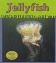 Imagen de archivo de Jellyfish a la venta por Better World Books