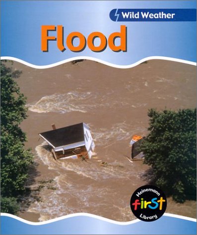 Imagen de archivo de Flood a la venta por Better World Books