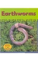 9781588107138: Earthworms (Ooey-gooey Animals)