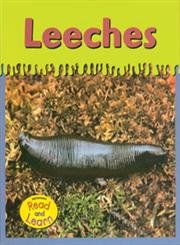 Beispielbild fr Leeches zum Verkauf von Better World Books