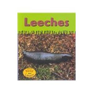 9781588107152: Leeches (Ooey-gooey Animals)