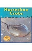 Horseshoe Crabs (Musty-crusty Animals) (9781588107244) by Schaefer, Lola M.