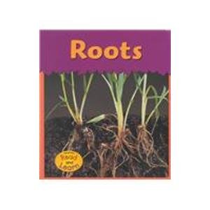Stock image for Roots (Plants) for sale by BooksRun