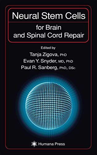9781588290038: Neural Stem Cells for Brain and Spinal Cord Repair (Contemporary Neuroscience)