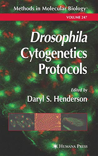 Stock image for Drosophila Cytogenetics Protocols (Methods in Molecular Biology) for sale by Books From California