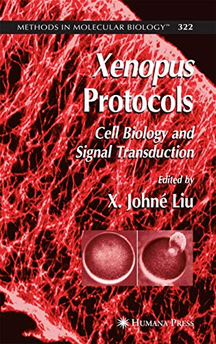 9781588293626: Xenopus Protocols: Cell Biology and Signal Transduction: 322 (Methods in Molecular Biology)