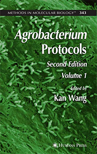 9781588295361: Agrobacterium Protocols: Volume I: 343