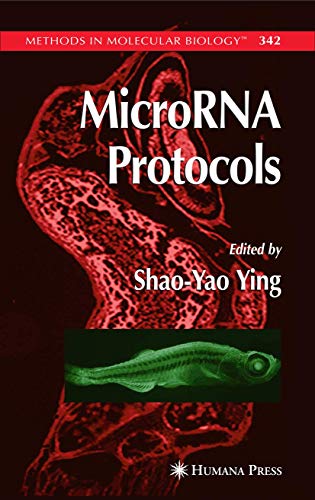 Imagen de archivo de MicroRNA Protocols (Methods in Molecular Biology) a la venta por Books From California