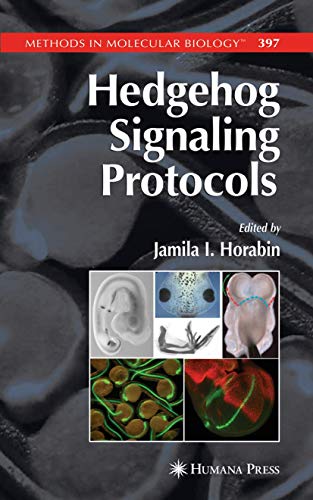 Stock image for Hedgehog Signaling Protocols (Methods in Molecular Biology, 397) for sale by Books From California