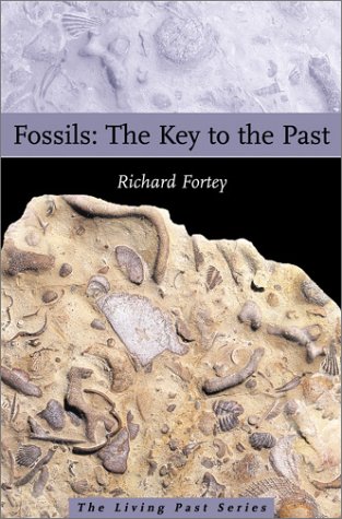 Stock image for Fossils: The Key to the Past for sale by Jenson Books Inc