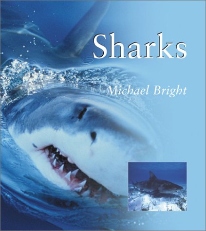 Imagen de archivo de Sharks a la venta por Better World Books