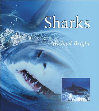 Stock image for Sharks for sale by Better World Books