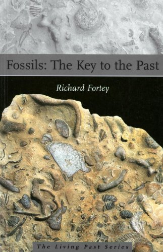 Beispielbild fr Fossils : The Key to the Past zum Verkauf von Better World Books