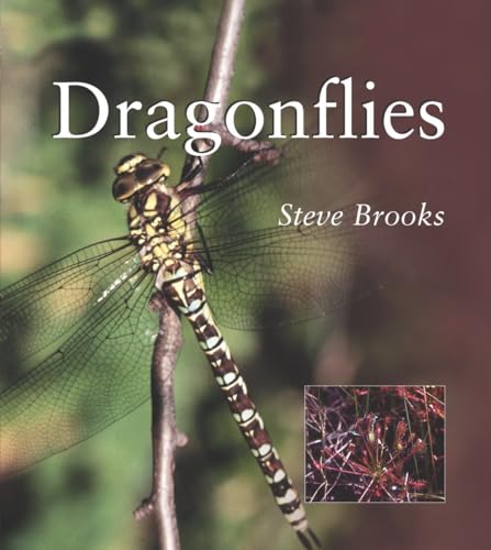Stock image for Dragonflies for sale by Better World Books