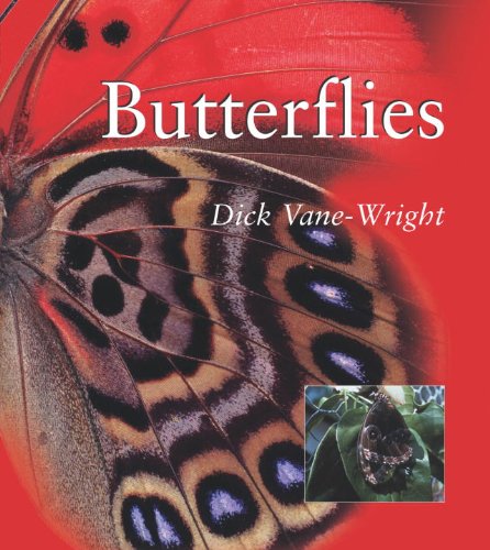 Imagen de archivo de Butterflies (Smithsonian's Natural World Series) a la venta por Wonder Book