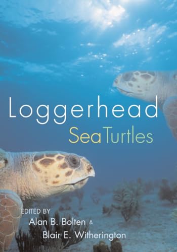 Imagen de archivo de Loggerhead Sea Turtles a la venta por BooksRun