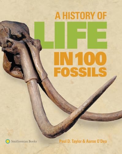 Stock image for A History of Life in 100 Fossils for sale by Bellwetherbooks