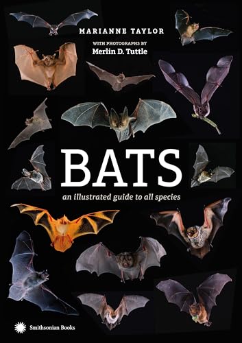 

Bats : An Illustrated Guide to All Species