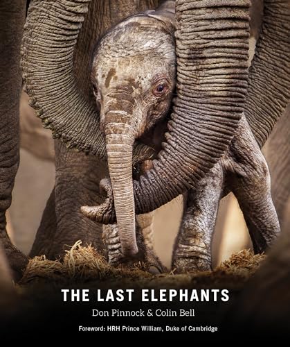 Beispielbild fr The Last Elephants zum Verkauf von Better World Books