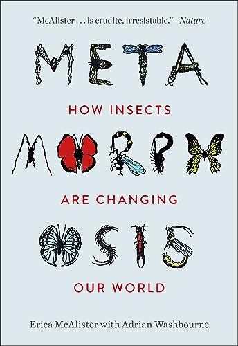 9781588347671: Metamorphosis: How Insects Are Changing Our World