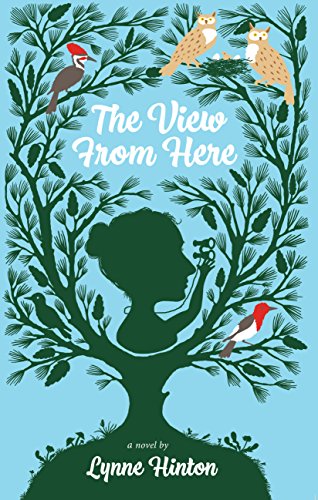 9781588383471: The View from Here: A Novel