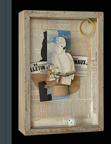 Stock image for Bird s of a Feather: Joseph Cornell's Homage to Juan Gris for sale by Libreria Parnaso