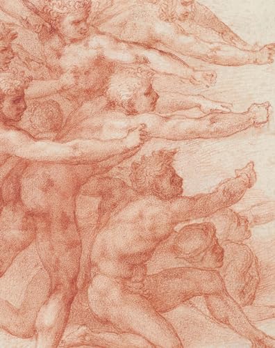 9781588396372: Michelangelo: Divine Draftsman and Designer