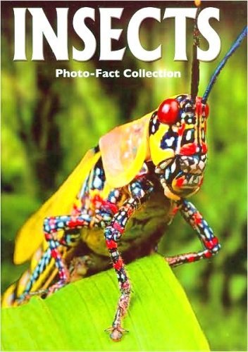 Stock image for Insects (Photo-Fact Collection Series) for sale by Half Price Books Inc.