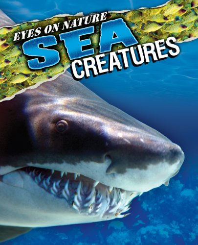 9781588655646: Eyes on Nature Sea Creatures by Kidsbooks (2011-01-05)